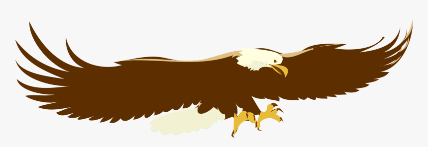Eagle,wildlife,bald Eagle - Soaring Eagle Clip Art, HD Png Download