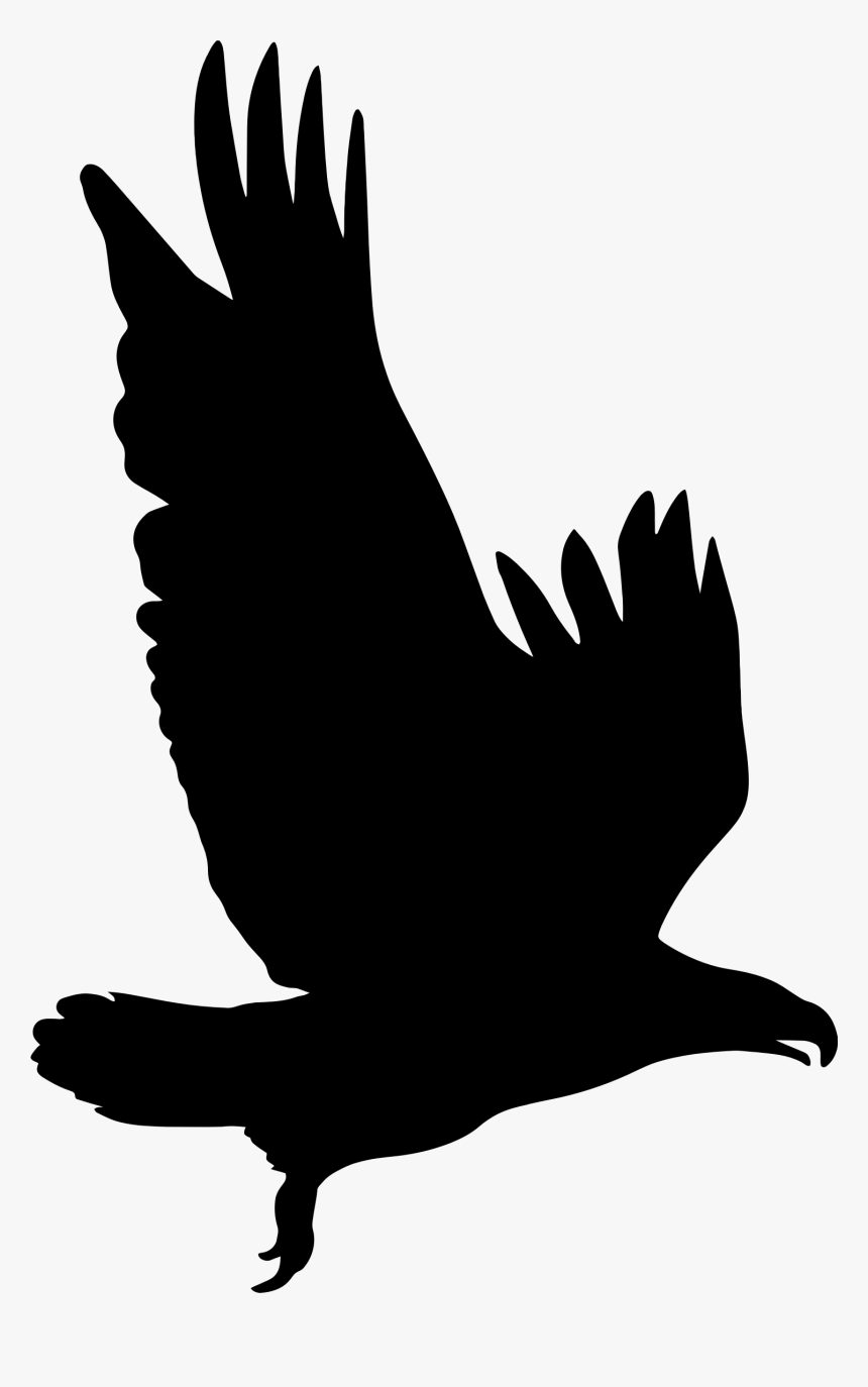 Clip Art Big Image Png - Eagle Silhouette Clip Art, Transparent Png