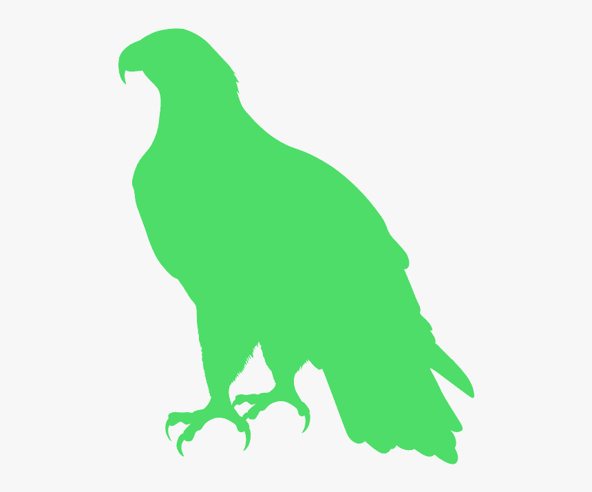 Aguila Americana Silueta, HD Png Download
