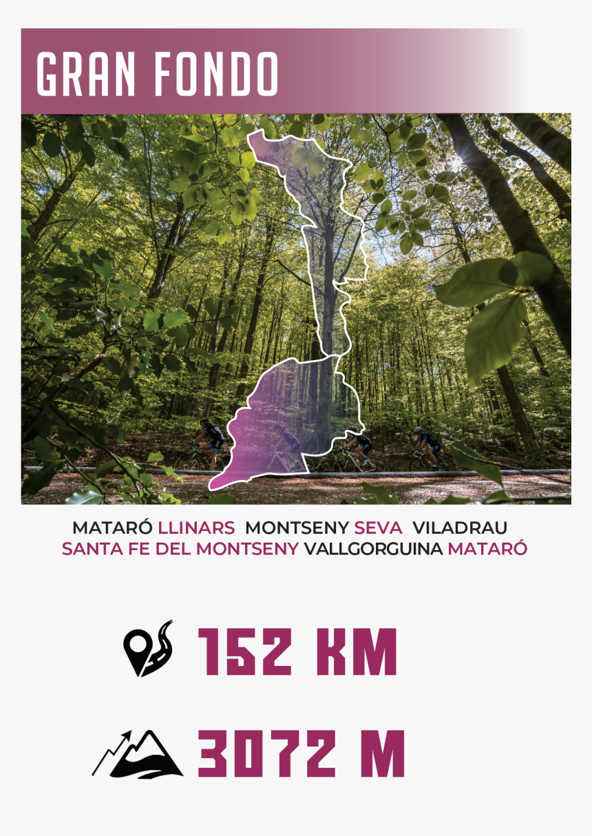 Carteles Curses Homegf - Rainforest, HD Png Download