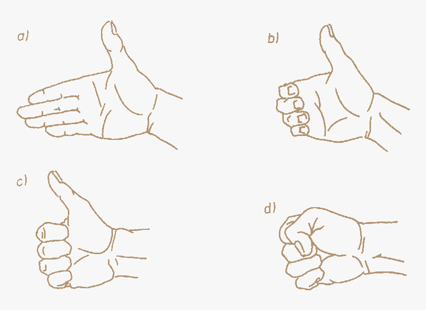 Making A Proper Fist - Drawing, HD Png Download