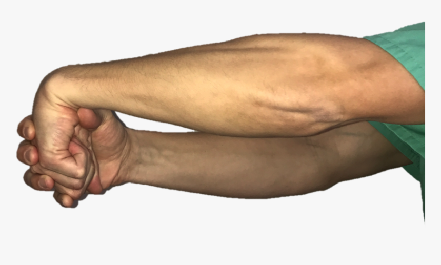 Clip Art Fist In Palm - Human, HD Png Download