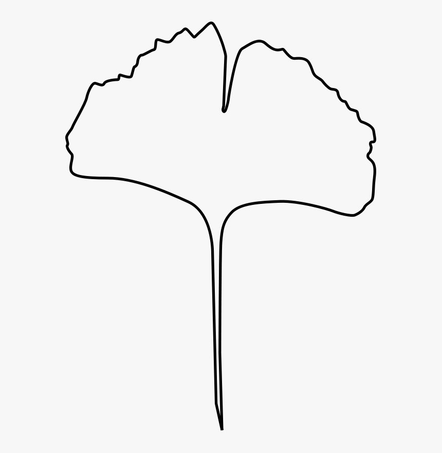 Ginkgo Leaf - Line Art, HD Png Download