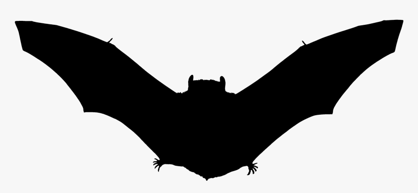 Halloween Bats, HD Png Download