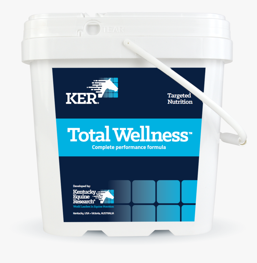 Transparent Wellness Clipart - Basket, HD Png Download