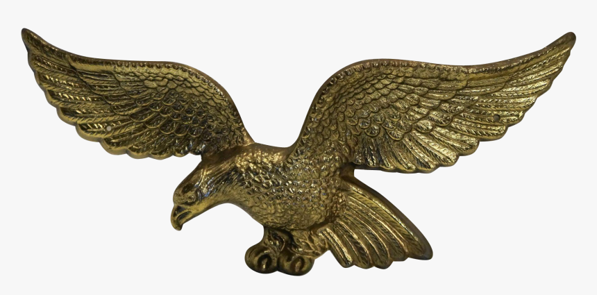 Top Images For American Brass Eagle Plaque On Picsunday - Red-tailed Hawk, HD Png Download