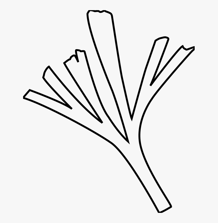 Baiera, HD Png Download