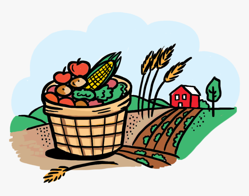Coloring-book - Food And Agriculture Png, Transparent Png