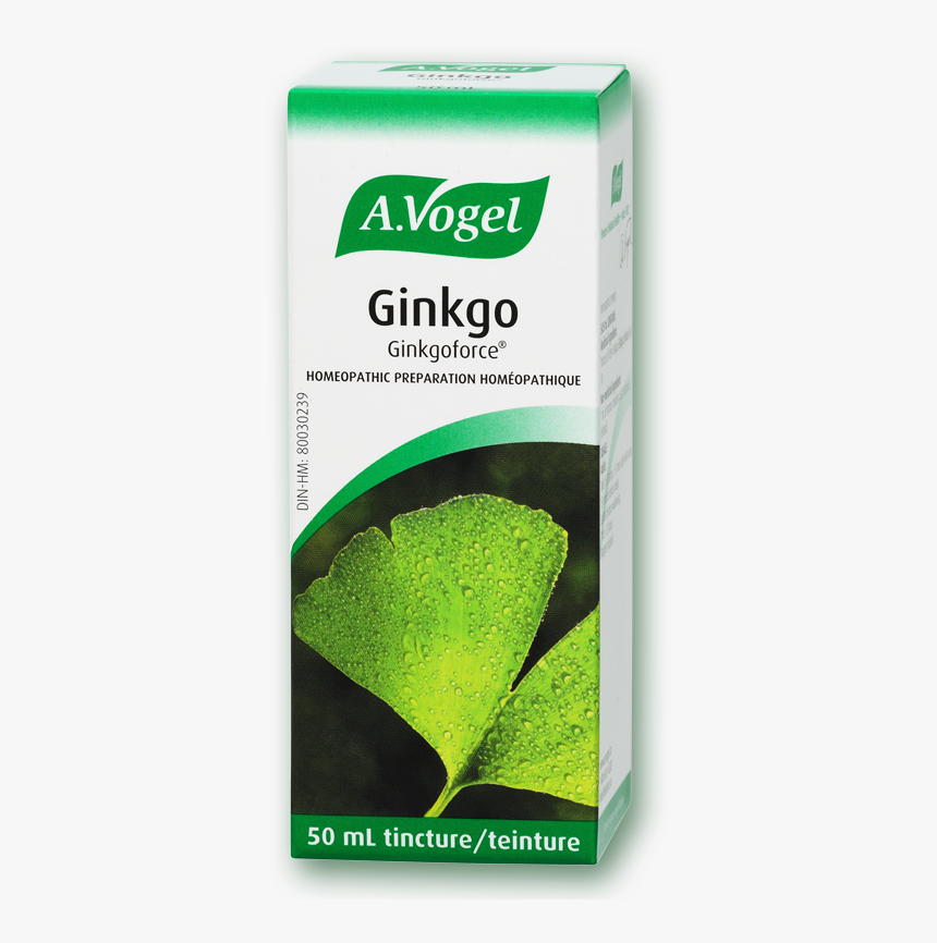 Vogel Ginkgoforce Fresh Ginkgo Biloba Extract - Vogel Ginkgoforce, HD Png Download