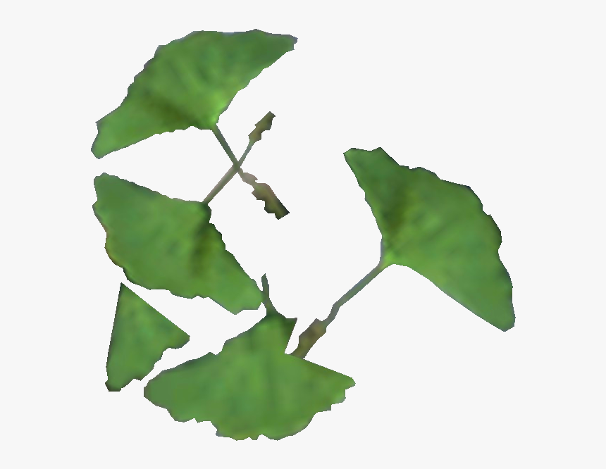 Elder Scrolls - Лист Гинкго Пнг, HD Png Download
