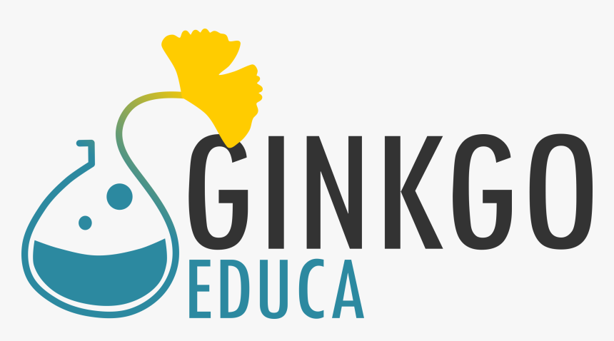 Ginkgo-educa Logo - Graphic Design, HD Png Download