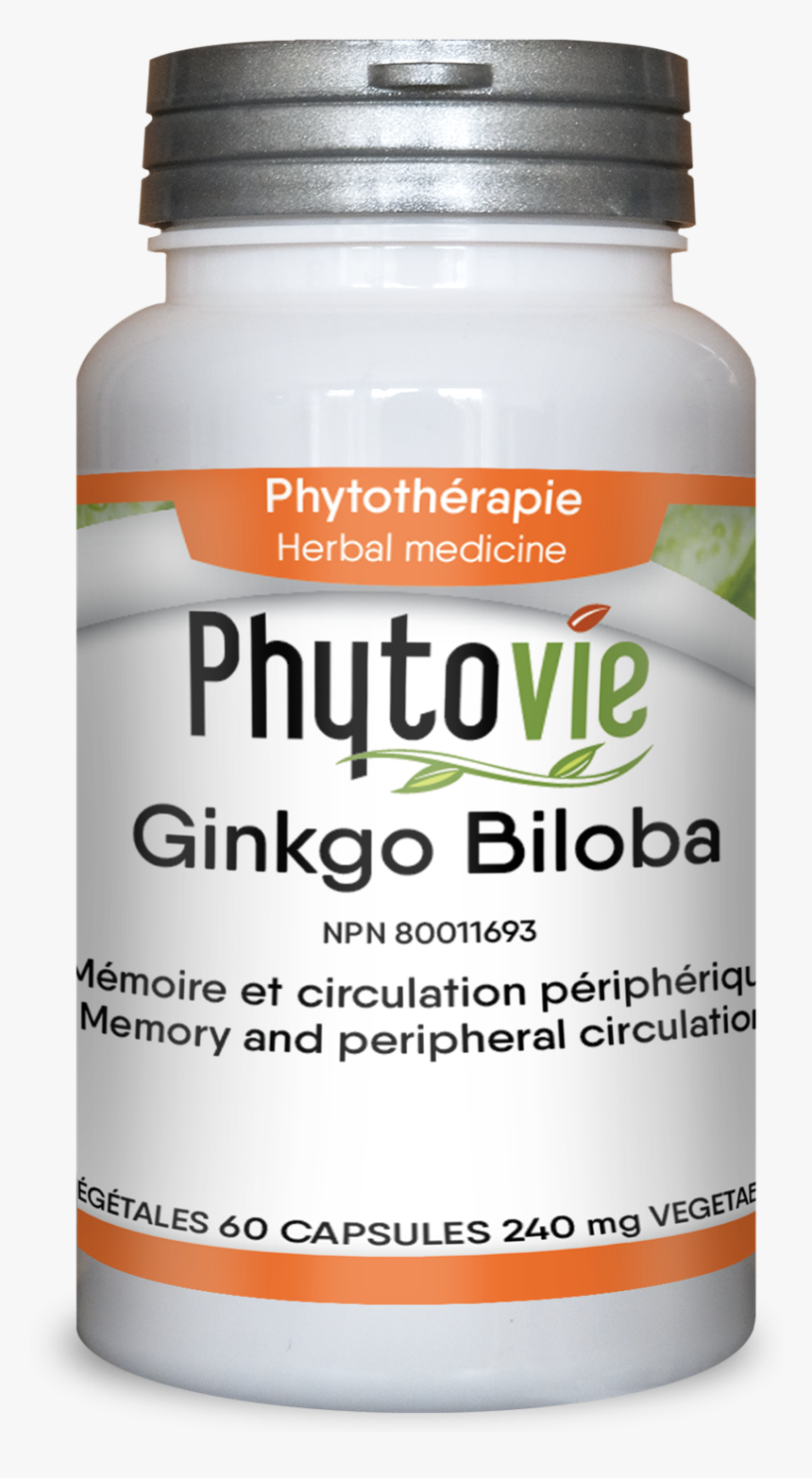 Saw Palmetto, HD Png Download