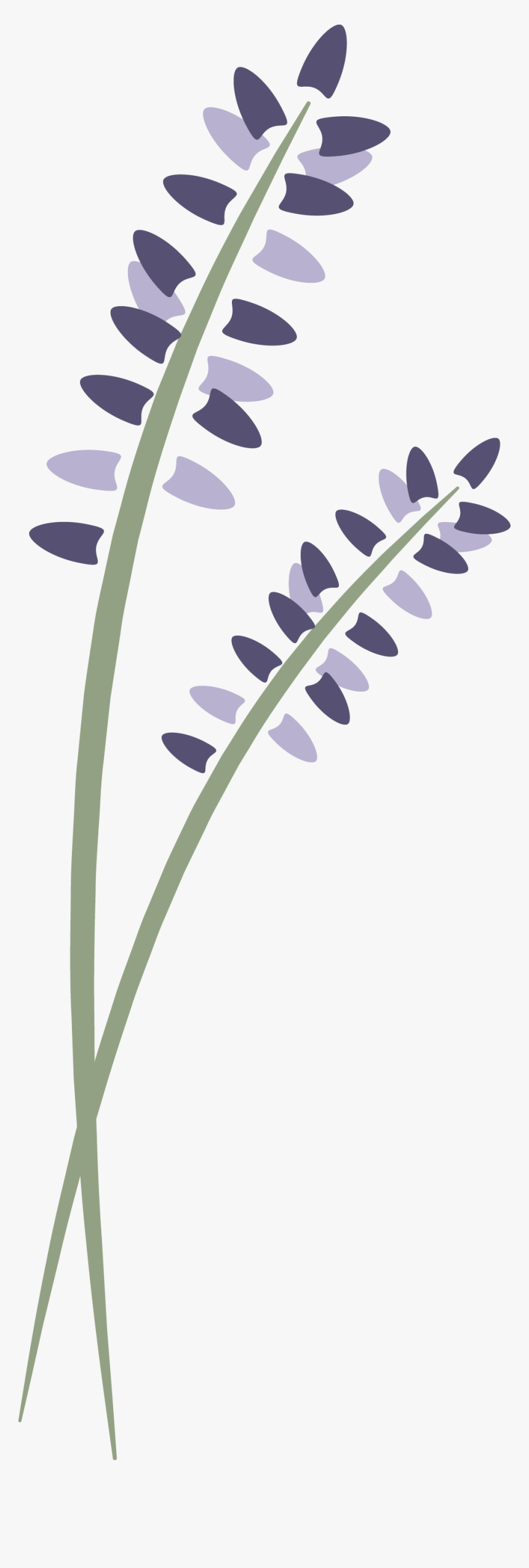 Lavenderlogovertical - Lavender Springs Spa Clip Art, HD Png Download