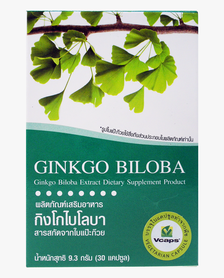 Maidenhair Tree, HD Png Download