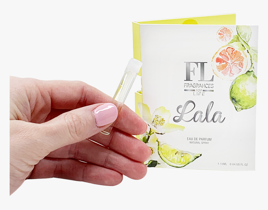 Garden Roses, HD Png Download