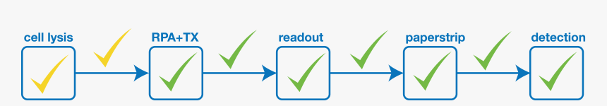 Diagram, HD Png Download