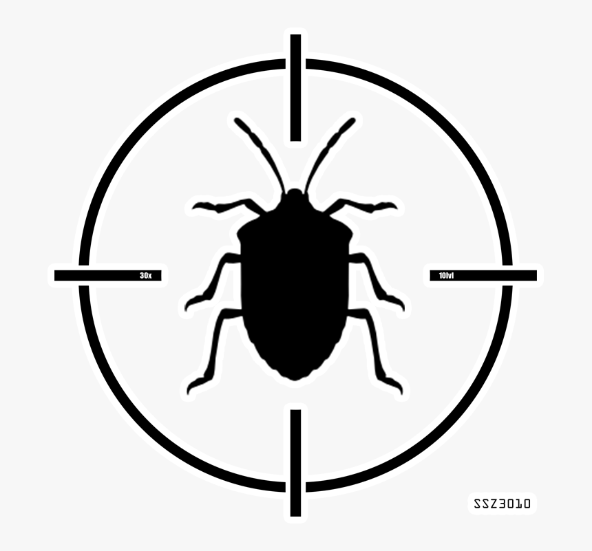 Brown Marmorated Stink Bug Drawing, HD Png Download