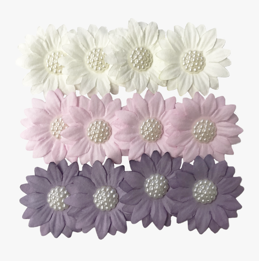 Pink Daisy Png, Transparent Png