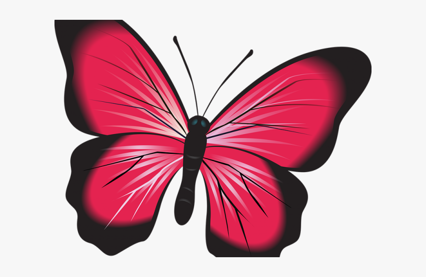 Insect Clipart Butterfly - Papillon Clipart, HD Png Download