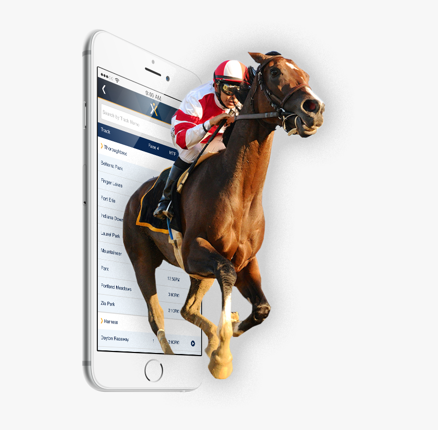 Xpressbet Iphone App - Stallion, HD Png Download