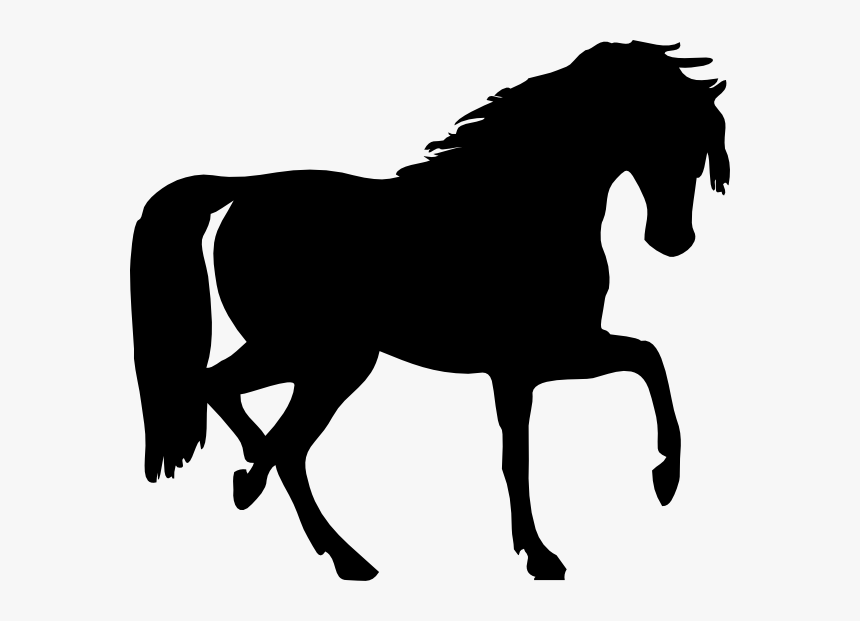 Transparent Race Horse Clipart - Horse Silhouette Clip Art, HD Png Download
