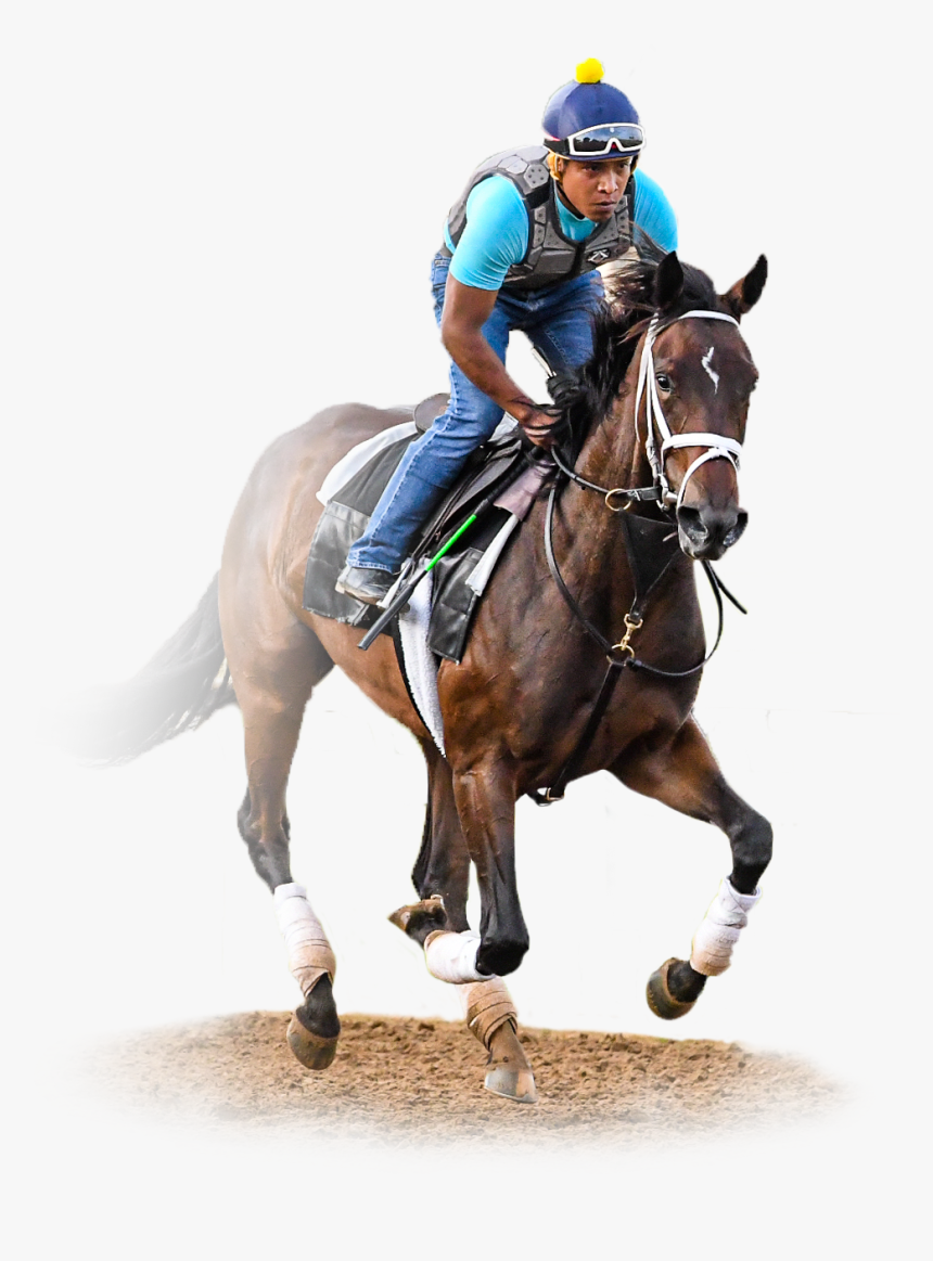 Mane, HD Png Download