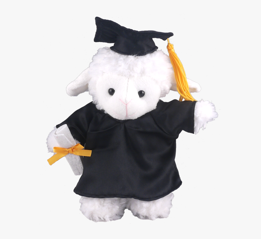 Graduation Sheep, HD Png Download