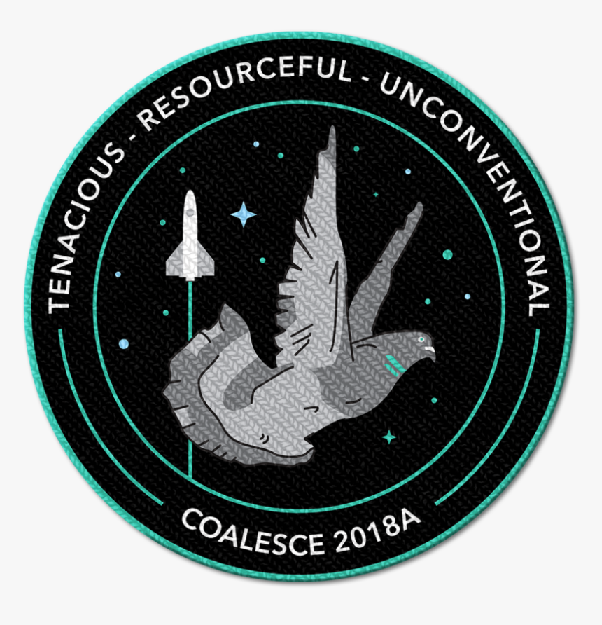 Patch - Pigeons And Doves, HD Png Download