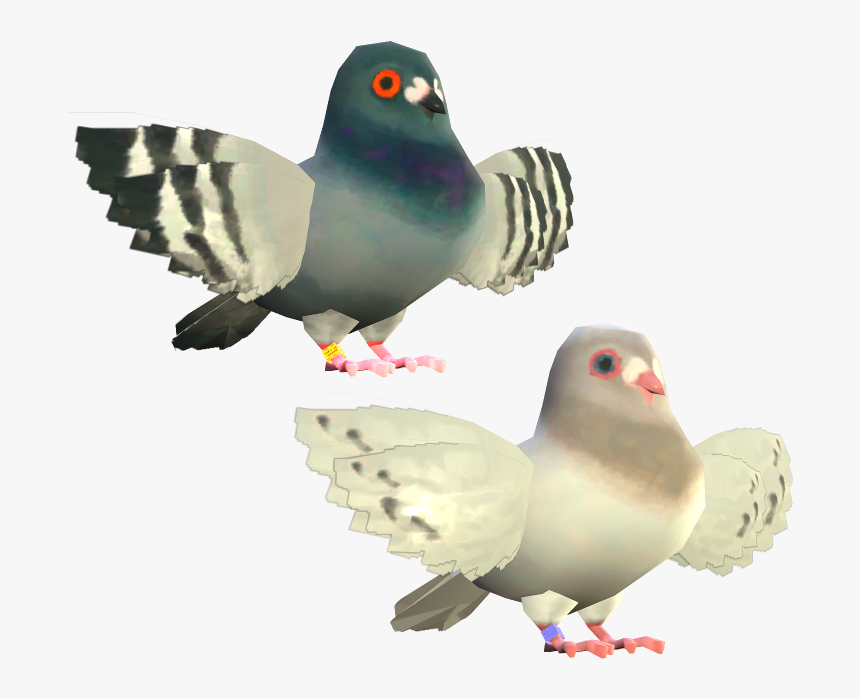 Pigeon Splatoon, HD Png Download