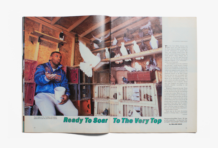 Tyson Pigeons , Png Download - Mike Tyson's Pigeon Coop, Transparent Png