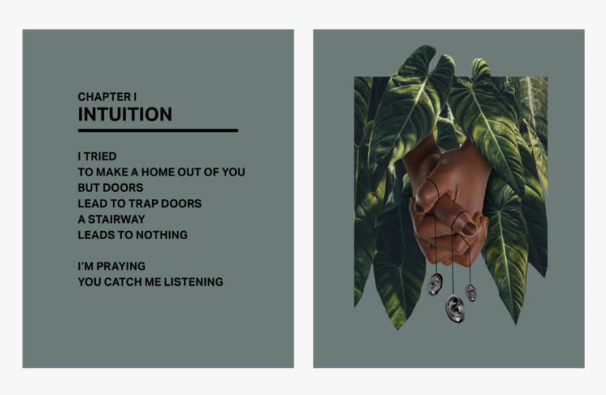 Beyonce2 - But Doors Lead To Trap Doors, HD Png Download