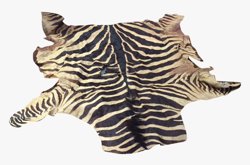 Ruffle, HD Png Download