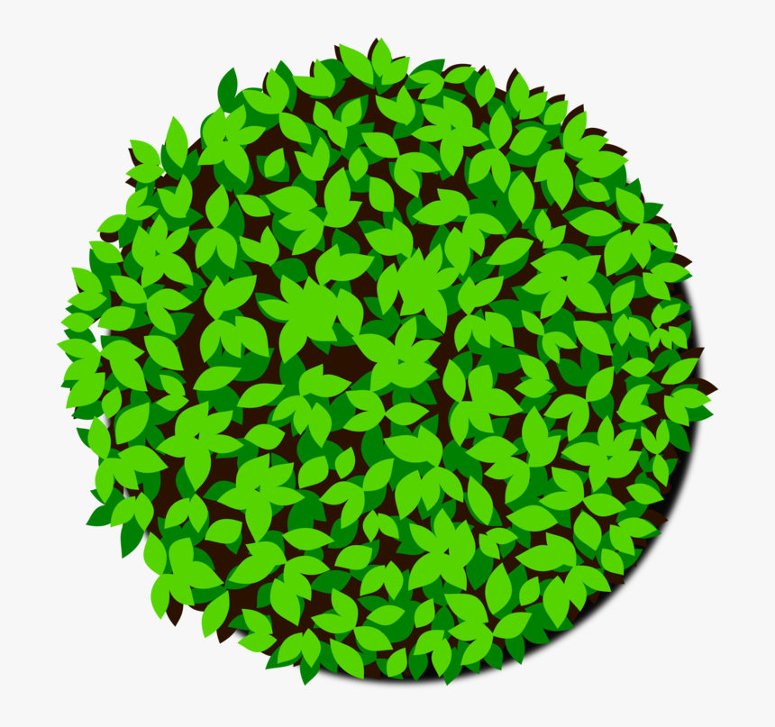 Leaf,plant,grass - Tree, HD Png Download