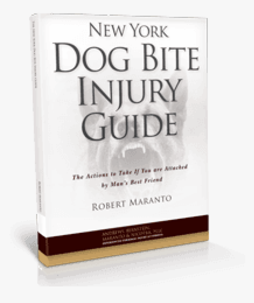 Carol Maranto Buffali Ny, HD Png Download