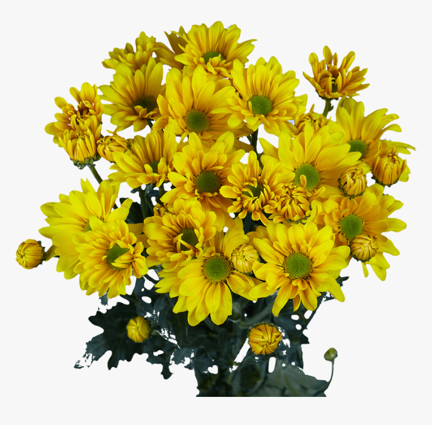 Flower, HD Png Download