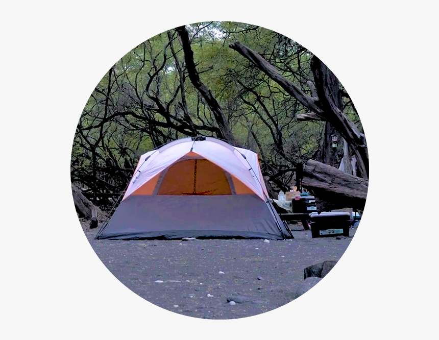 Camping At Kiholo Bay Permit - Camping, HD Png Download