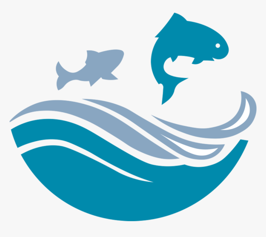 Shark, HD Png Download