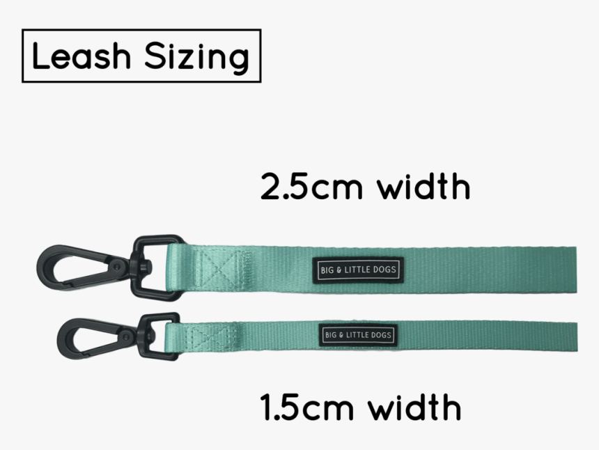Dog Leash For Big And Small Dogs Classic Solid Teal - Big & Little Dogs, HD Png Download