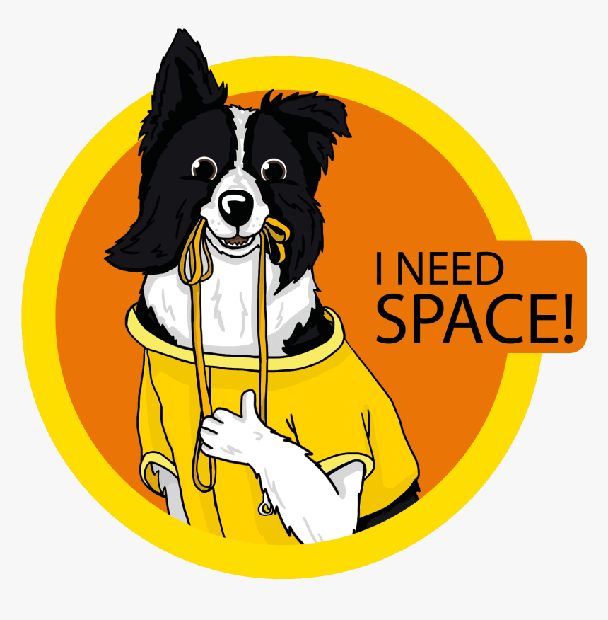 Dog Catches Something, HD Png Download