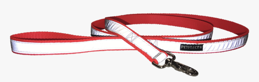 Blaze Orange Dog Leash - Strap, HD Png Download
