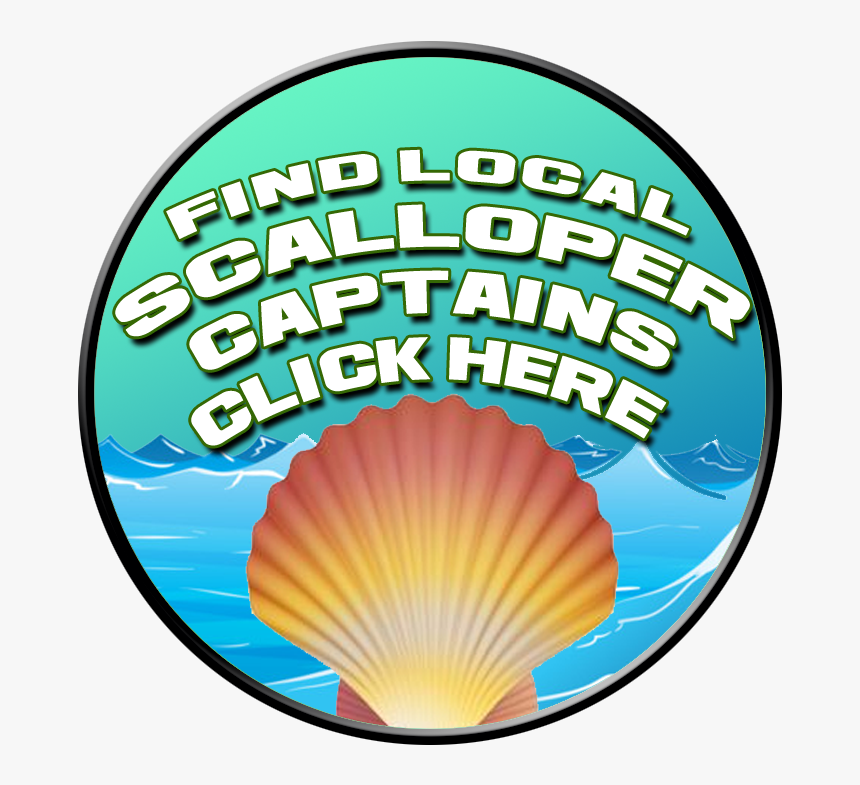 Picture - Circle, HD Png Download