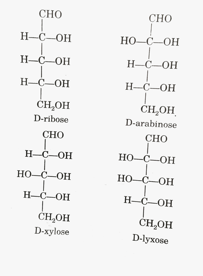 Number, HD Png Download