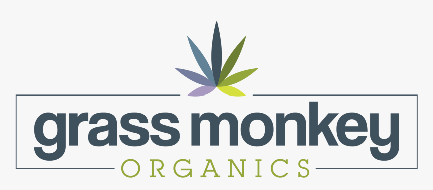 St Lukes, HD Png Download