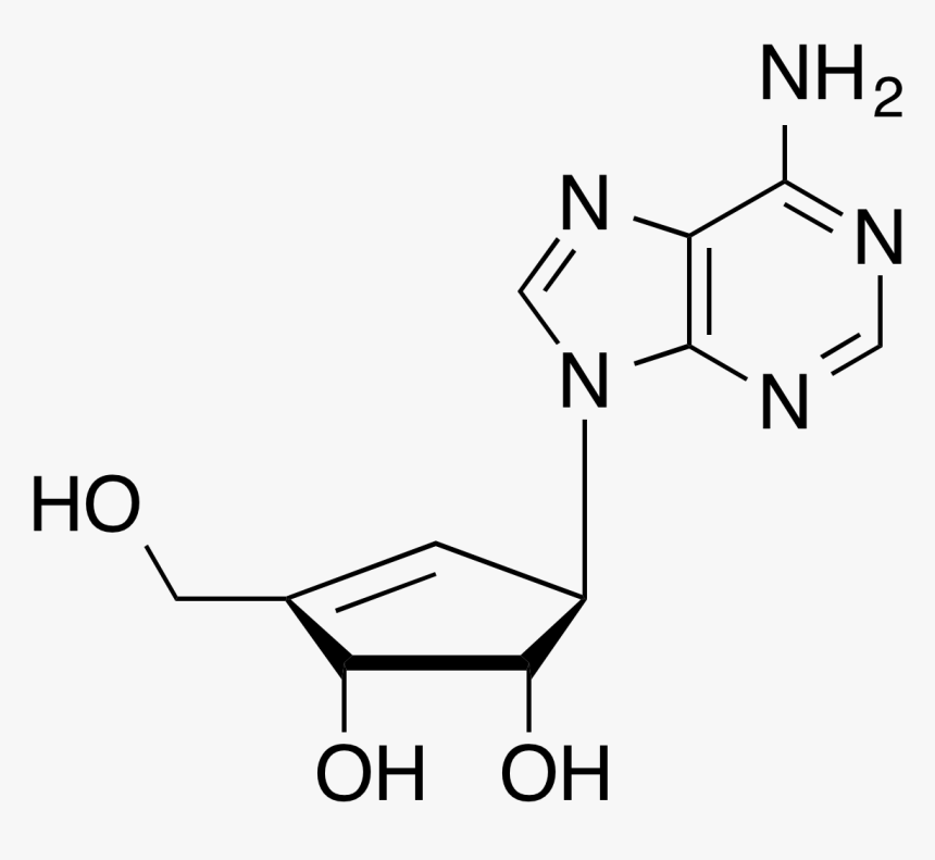 Neplanocin A - Adénosine Monophosphate Ph 7, HD Png Download