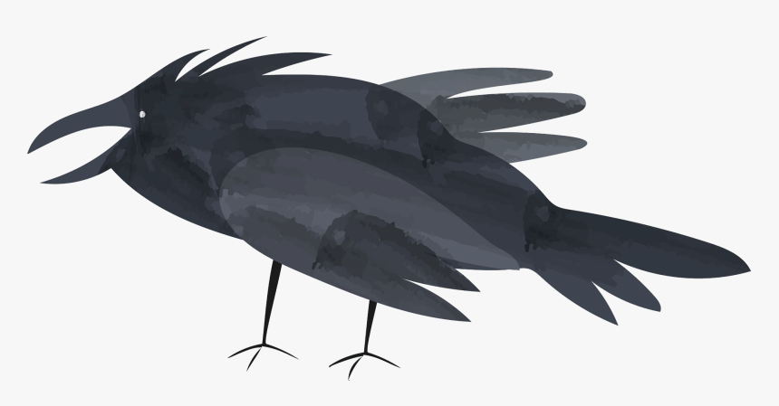 Raven, HD Png Download