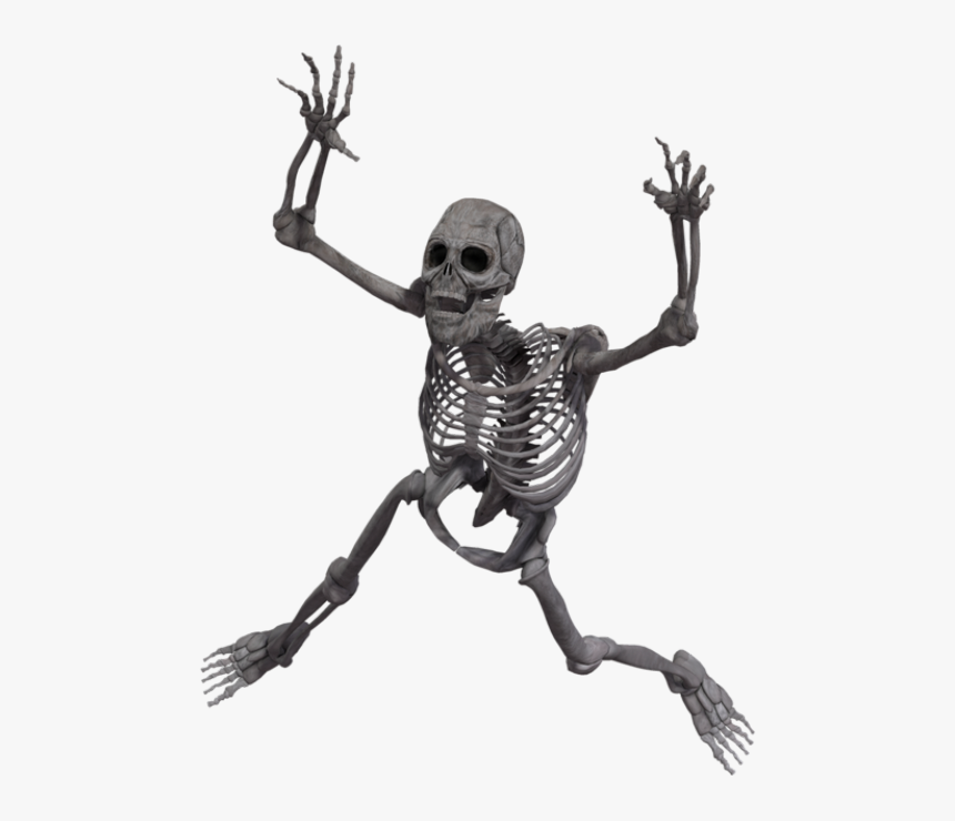 Skeleton , Png Download - Skeleton, Transparent Png