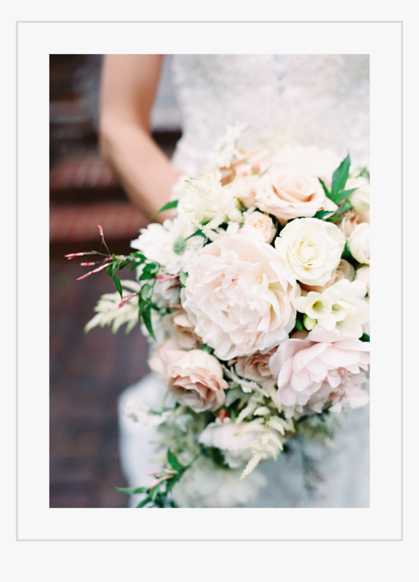 Home Gallery Blush - Floribunda, HD Png Download