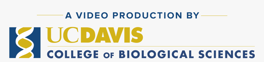 Video Production Logo - Uc Davis Medical Center, HD Png Download