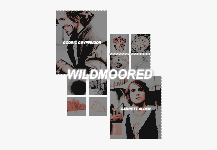 Eoin Macken, HD Png Download