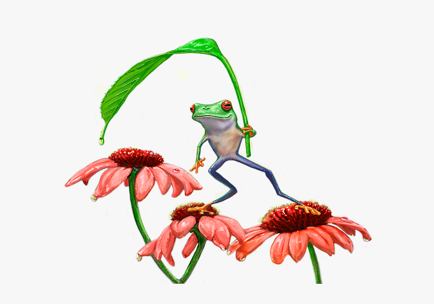 True Frog, HD Png Download